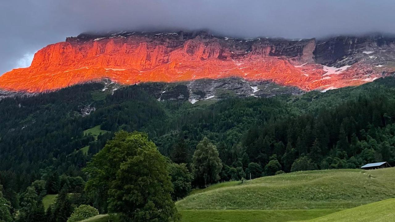 Im Grünen Grindelwald