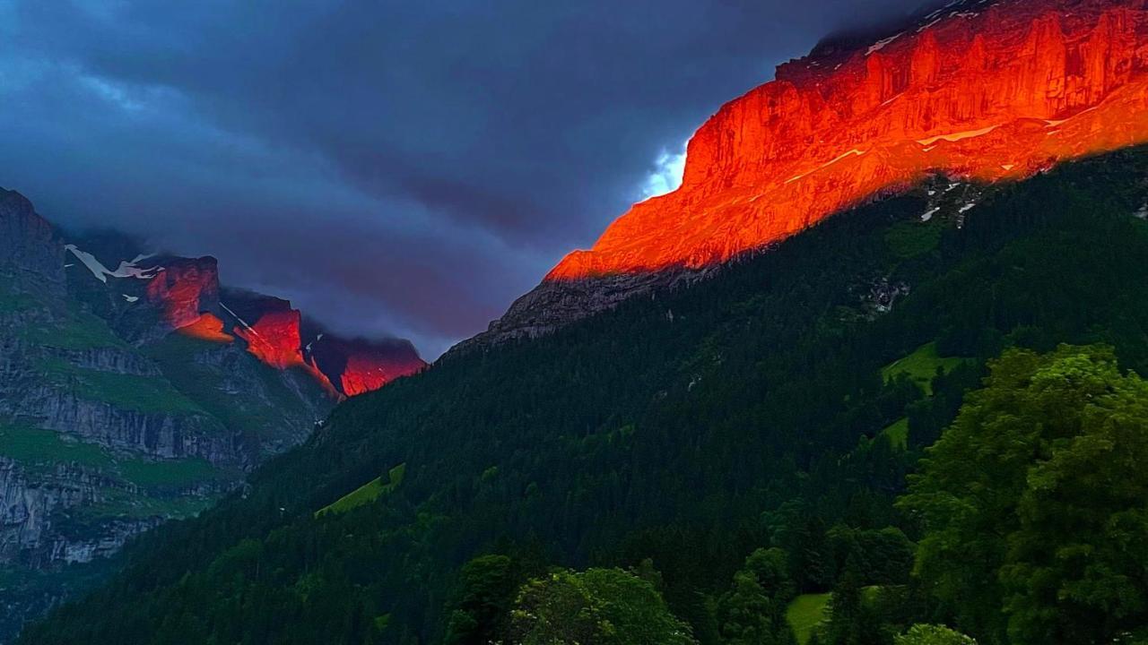 Im Grünen Grindelwald