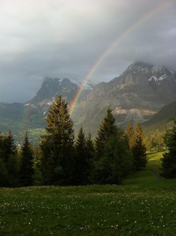 Im Grünen Grindelwald