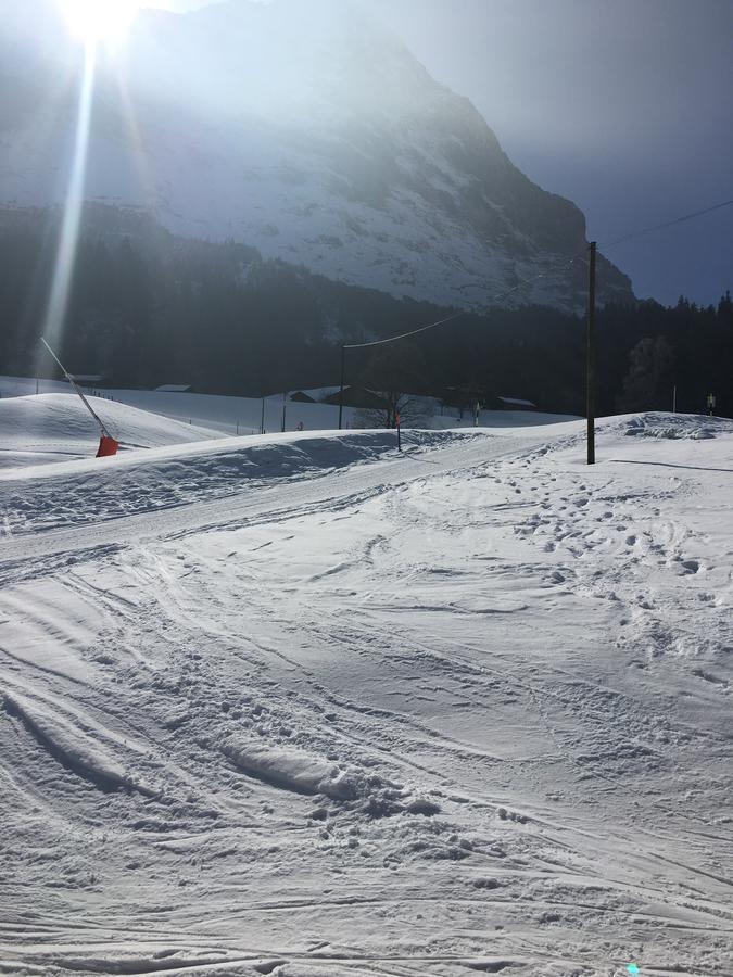 Apartment Im Grünen Grindelwald